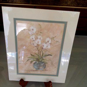 Double Matted 8" x 10"  White Orchid Print